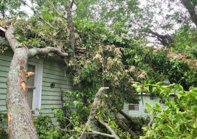 Tree Removal Clarkesville GA