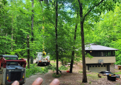 Tree Trimming Removal Mt. Airy GA